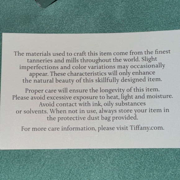 Tiffany & Co. Aqua and Silver Tote Bag Set - Picture 12 of 16